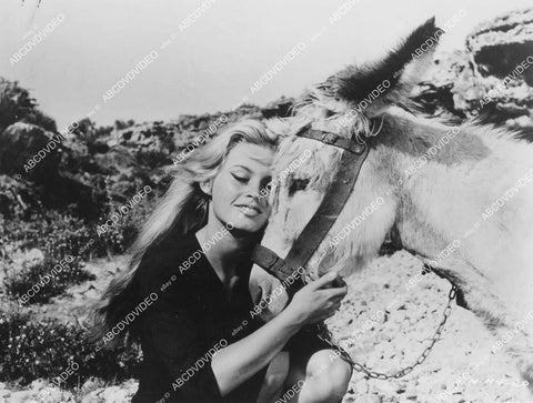 crp-02002 1958 beautiful Brigitte Bardot w a donkey film The Night Heaven Fell crp-02002