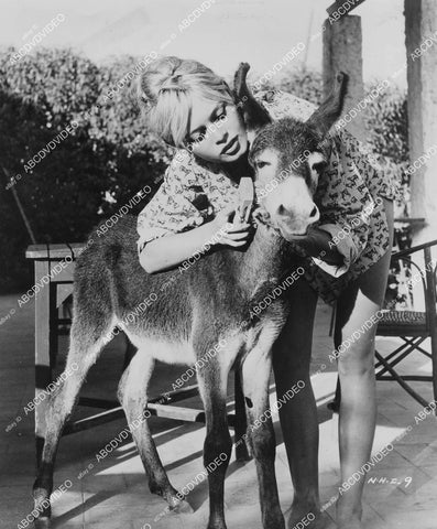 crp-02003 1958 beautiful Brigitte Bardot w a different donkey film The Night Heaven Fell crp-02003