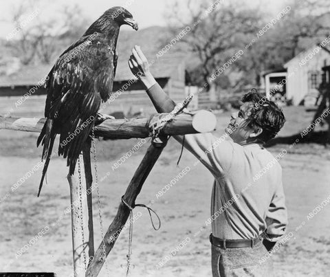 crp-00200 Glenn Ford feeding an eagle crp-00200