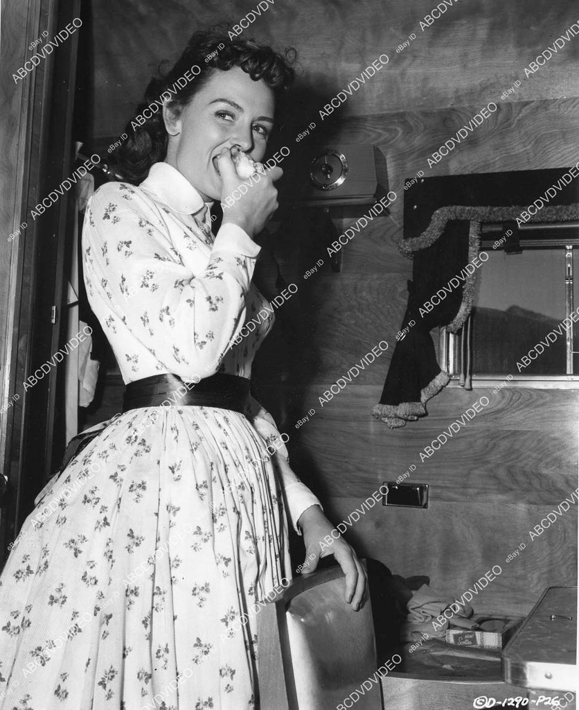 Donna Reed Dress