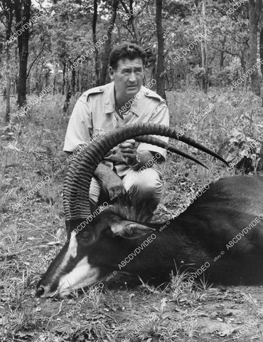 crp-02480 1970 baseball legend Ted Williams and sable antelope TV The American Sportsman crp-02480