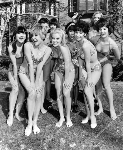 crp-02760 1966 pool party bikini babes Jackie DeShannon,Suzie Kaye,Jill Banner,Kim Carnes C'Mon Lets Live a Little crp-02760