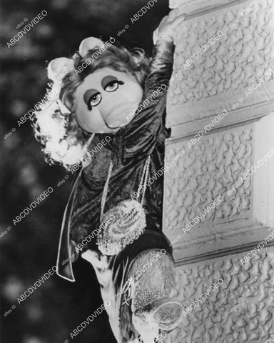crp-03320 1984 Miss Piggy scaling the wall film The Great Muppet Caper crp-03320
