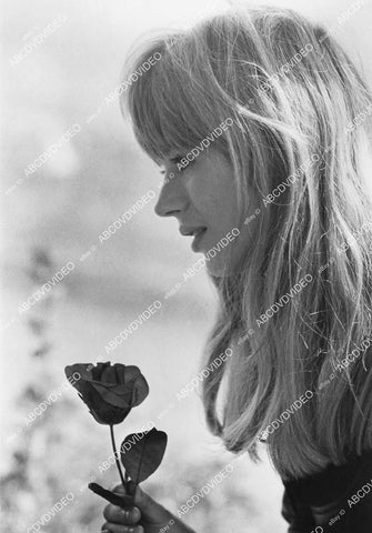 crp-03443 1970 music British pop singer Marianne Faithfull w a rose film Naked Under Leather crp-03443