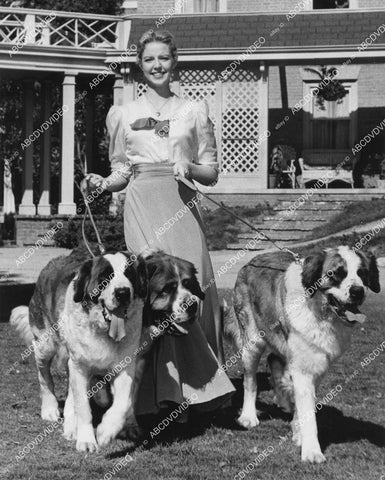 crp-03555 1955 Sally Fraser walking St Bernard dogs film It's a Dog's Life crp-03555