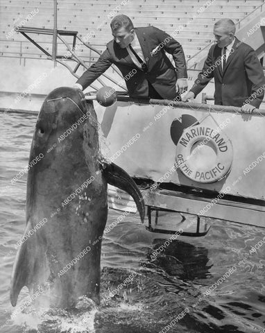 crp-00367 1959 Buckeyes meet Bubbles Ohio State football Jim Tyrer Jim Herbstreit at Marineland of Pacific crp-00367