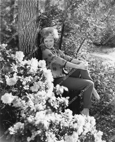 crp-03845 1960's gorgeous Abby Dalton under the trees in the park crp-03845