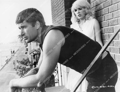 crp-03993 1965 Alex Cord, Stella Stevens film Synanon crp-03993