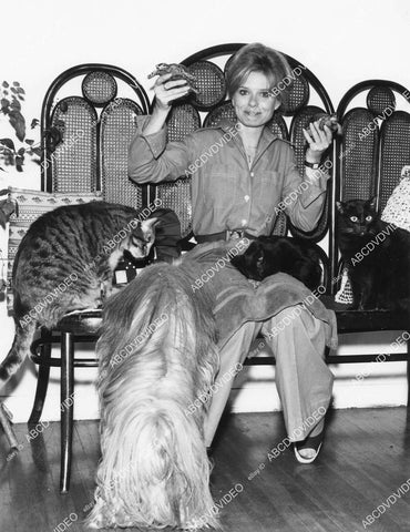 crp-04101 1976 Brooke Bundy of Days of Our Lives at home w dogs cats and turtles crp-04101