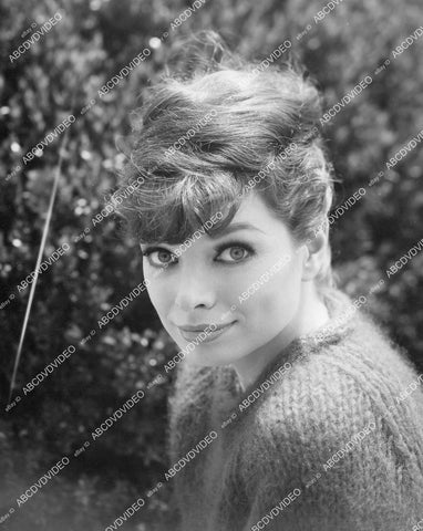 crp-05073 1960's pretty sweater girl Aneta Corsaut in the garden crp-05073