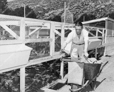 crp-05112 1941 candid Alexander Hall working on his turkey ranch in Santa Susanna, Calif crp-05112