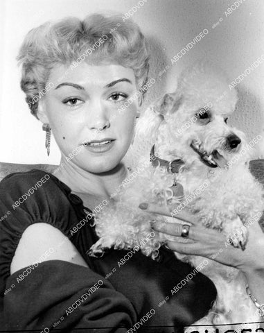 crp-05290 1952 Alix Talton spends $1,000 eye operation for poodle dog Pierre w cataracts crp-05290
