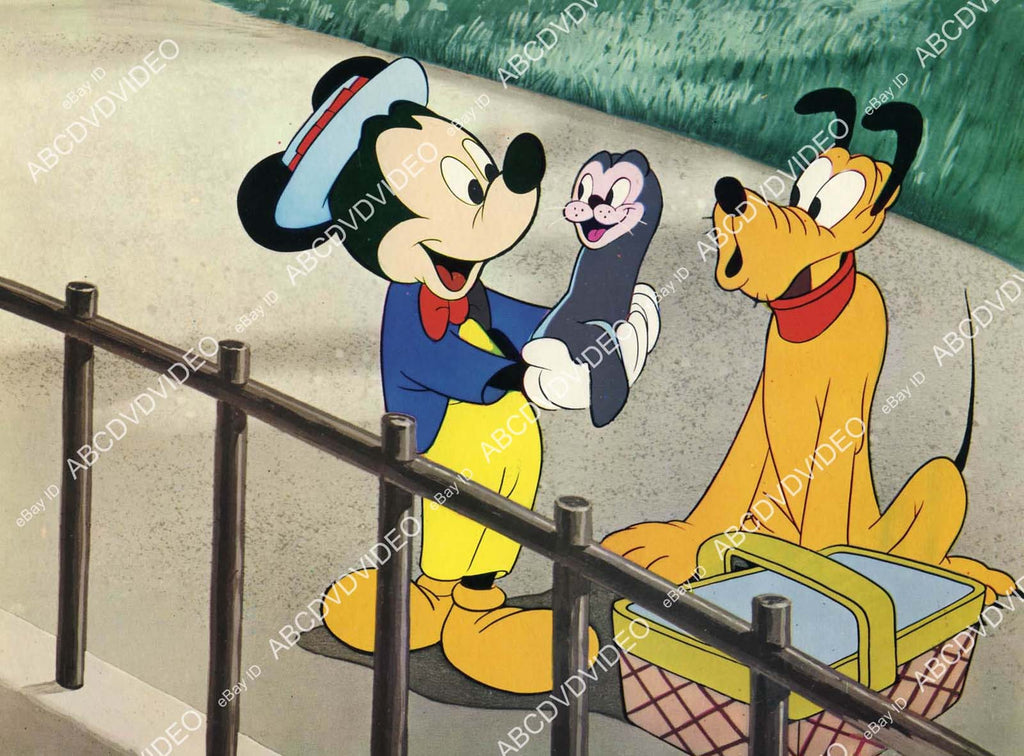 crp-05471 1968 Disney animated characters Pluto & seal film Mickey