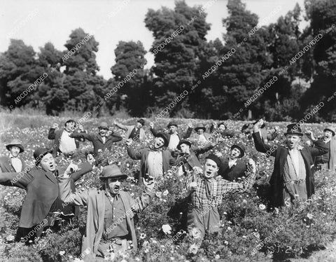 crp-05660 1921 Al St. John & cast in the flower fields Fox silent short subject The Happy Pest crp-05660