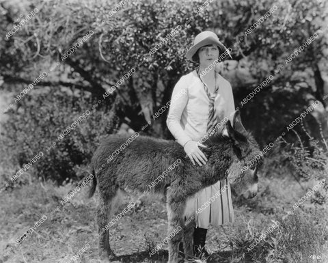 crp-05719 1926 Lillian Rich w baby donkey silent film The Golden Web crp-05719