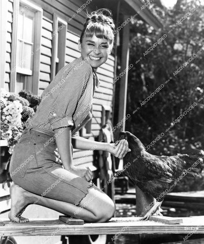 crp-06575 1967 Debbie Watson country girl w a chicken film Tammy and the Millionaire crp-06575