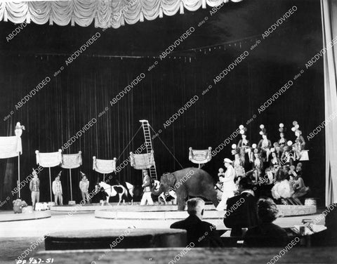 crp-06719 1955 elephant and circus act film Paris Follies of 1956 crp-06719