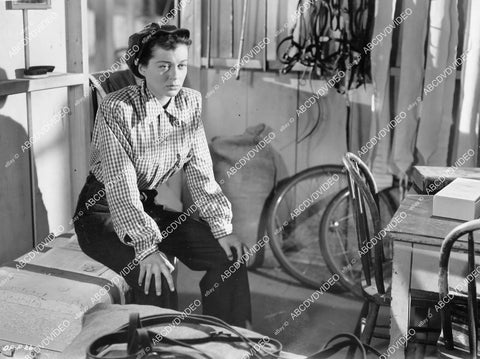crp-07127 1949 Gail Russell film The Great Dan Patch crp-07127