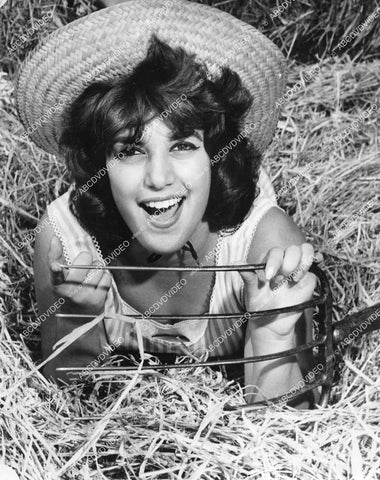 crp-00718 1950s Hey Hay cute Judy Shatsky LA County Fair Beauty Queen contestant lays in hay w pitchfork crp-00718