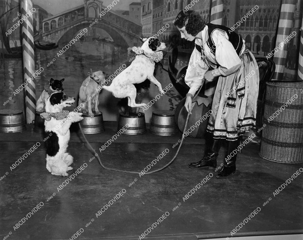 Jump Roping Dog crp-07758 1938 specialty act jump roping dogs film Everybody Sing crp ...