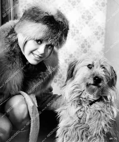 crp-07985 1966 Suzanna Leigh w her dog film The Deadly Bees crp-07985