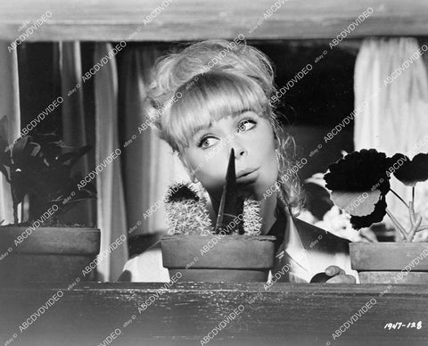 crp-08716 1965 Elke Sommer film The Art of Love crp-08716