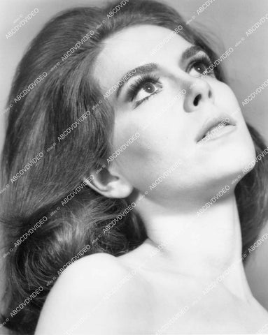 crp-00883 beautiful Natalie Wood portrait crp-00883