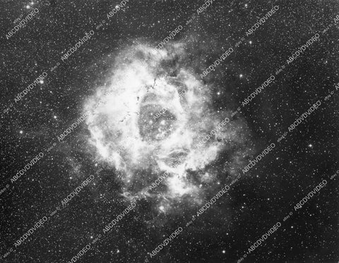 crp-00913 1940's Science & Astronomy Mt Wilson Palomar Observatory Rosetta Nebula NGC 2237 from glass plate crp-00913