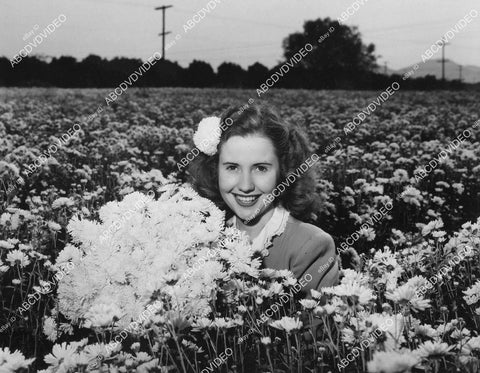crp-00923 1944 Joyce Reynolds in field of chrysanthemuns crp-00923