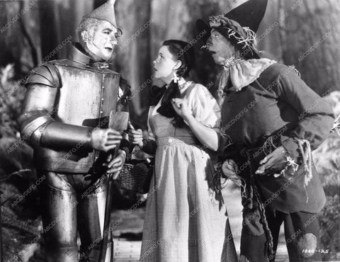 Judy Garland Ray Bolger Jack Haley Bert Lahr The Wizard of Oz woo810-16
