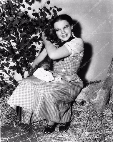 Judy Garland Ray Bolger Jack Haley Bert Lahr The Wizard of Oz woo810-18