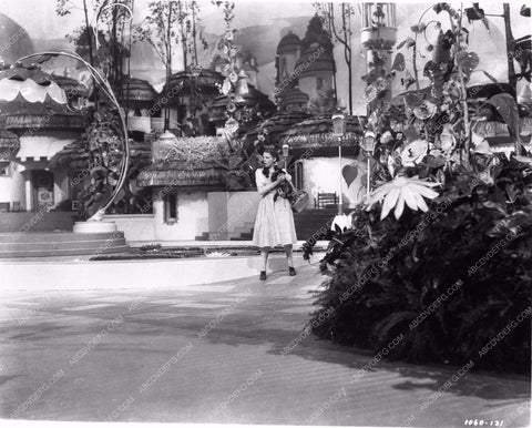 Judy Garland Ray Bolger Jack Haley Bert Lahr The Wizard of Oz woo810-24