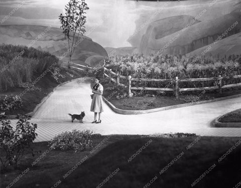 Judy Garland Ray Bolger Jack Haley Bert Lahr The Wizard of Oz woo810-25