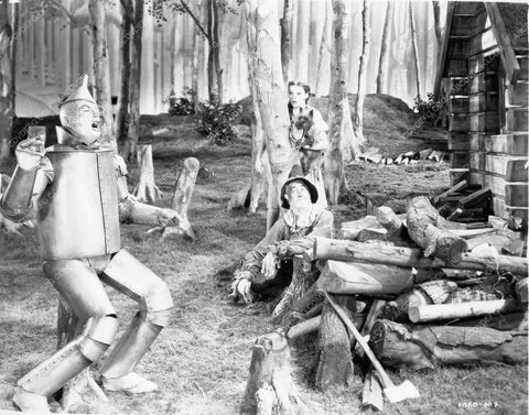 Judy Garland Ray Bolger Jack Haley Bert Lahr The Wizard of Oz woo810-28
