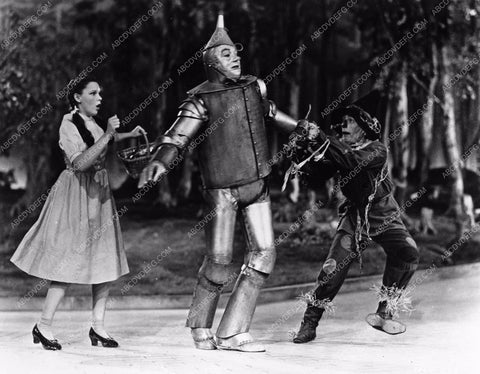 Judy Garland Ray Bolger Jack Haley Bert Lahr The Wizard of Oz woo810-29
