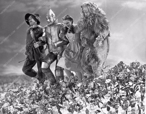 Judy Garland Ray Bolger Jack Haley Bert Lahr The Wizard of Oz woo810-33